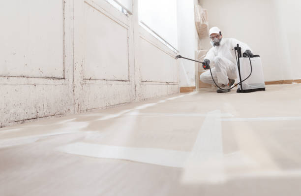 24/7 Emergency Black Mold Removal experts in Red Bank, NJ