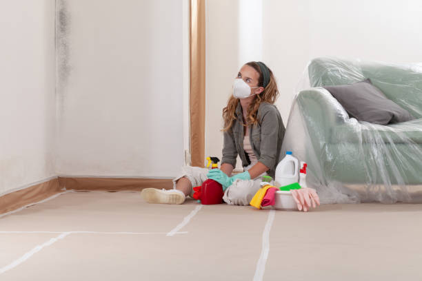 Reliable Black Mold Removal contractor in Red Bank, NJ by WQB Mold Removal